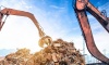 Qué ofrece Global Sur en logística con maquinaria pesada