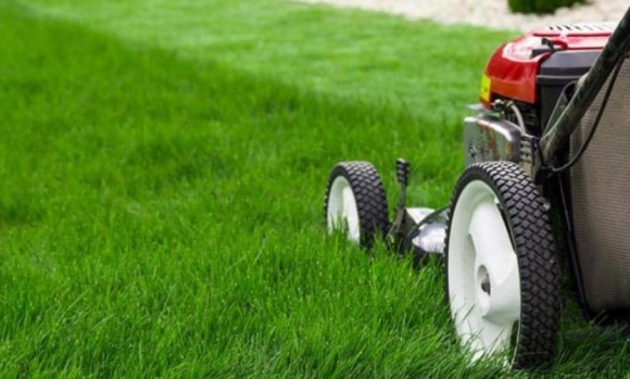 El intendente autorizó el ingreso de jardineros y pileteros a los countries