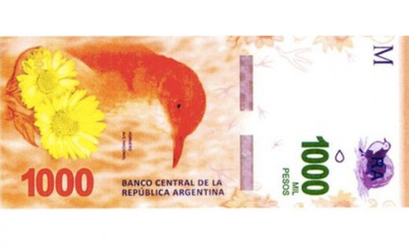 En octubre comenzará a circular el billete de $1000 con la figura del hornero