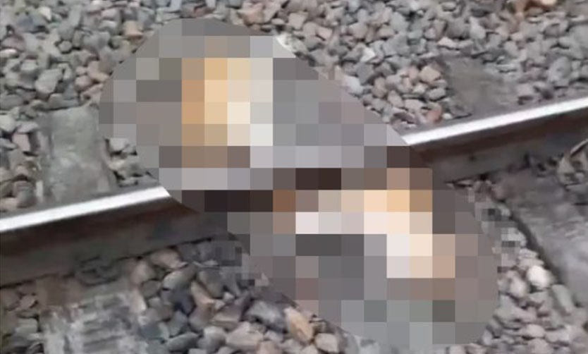 Un hombre mató a su perra atándola a las vías del ferrocarril en Del Viso