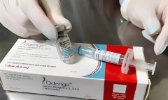 Dengue: confirman que la vacuna tetravalente protege por siete años