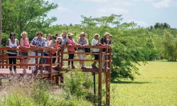 El Municipio lanzó un programa de verano con actividades para adultos mayores