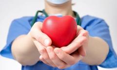 Récord de trasplantes y donantes de órganos: 4.497 personas salvaron o mejoraron su vida en 2025