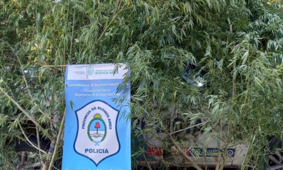 Su abuela lo denunció por violencia y le encontraron marihuana y autopartes robadas