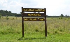 Convocan a voluntarios para restaurar el pastizal pampeano en la Reserva de Pilar
