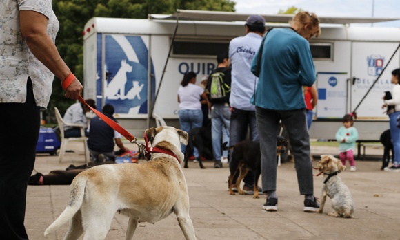 El quirófano veterinario móvil prestará servicios en Derqui y Zelaya