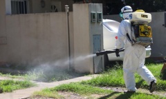 Dengue: informan un centenar de casos en la última semana en Pilar