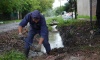 El Municipio continúa con los operativos de desobstrucción ante las intensas lluvias