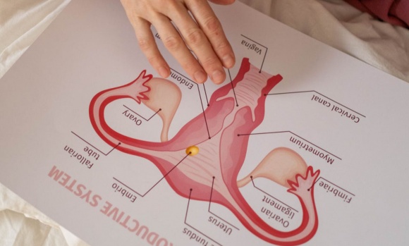 Cáncer de cuello de útero: nueve de cada diez casos se pueden prevenir