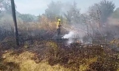 Crece la preocupación por el aumento de incendios forestales en Pilar