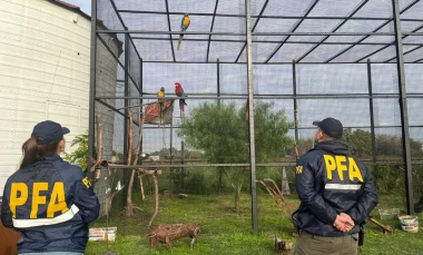 Rescataron de un zoológico clandestino a animales en cautiverio